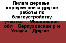 Пилим деревья, корчуем пни и другие работы по благоустройству участка. - Московская обл., Серпуховский р-н Услуги » Другие   